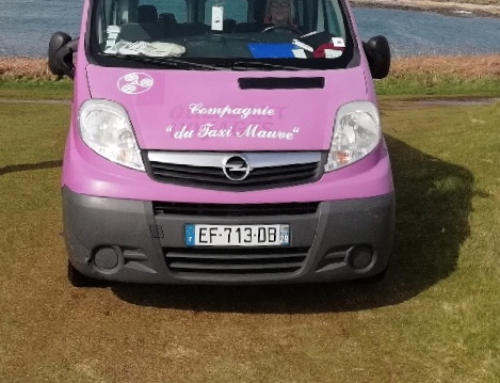 LA COMPAGNIE DU TAXI MAUVE