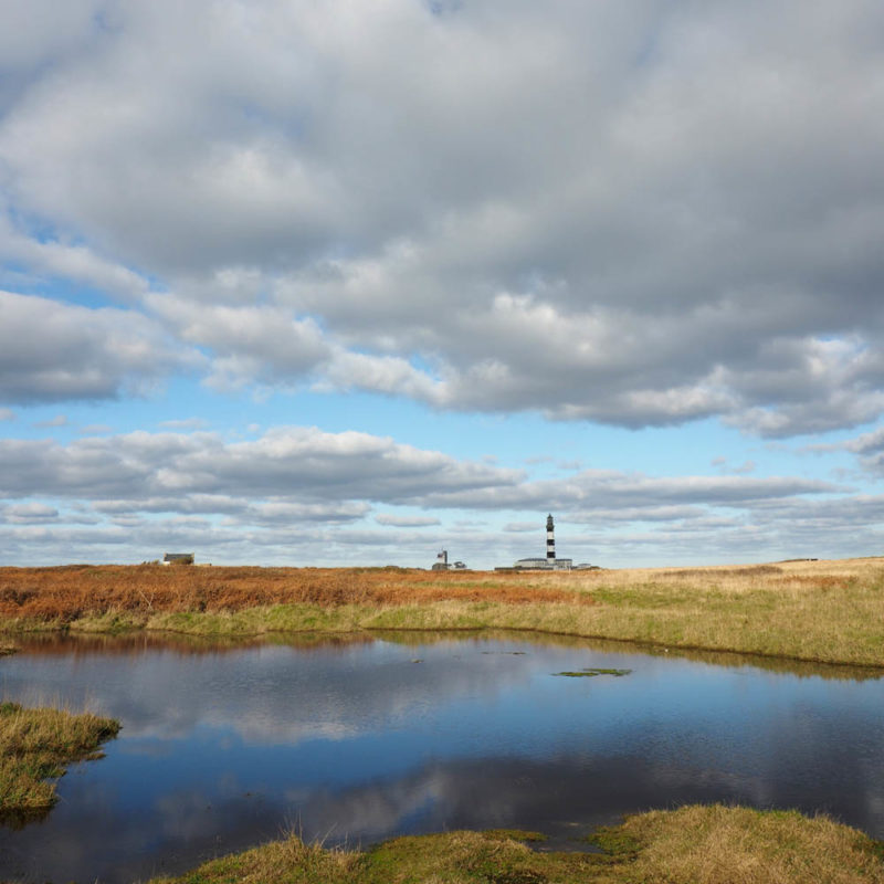 Randonnée à Ouessant avec la Route de Pingouins